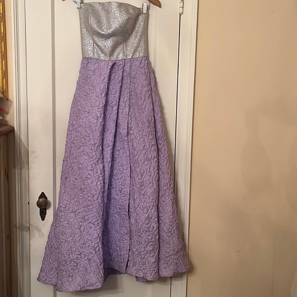 Gorgeous strapless silver and lilac gown